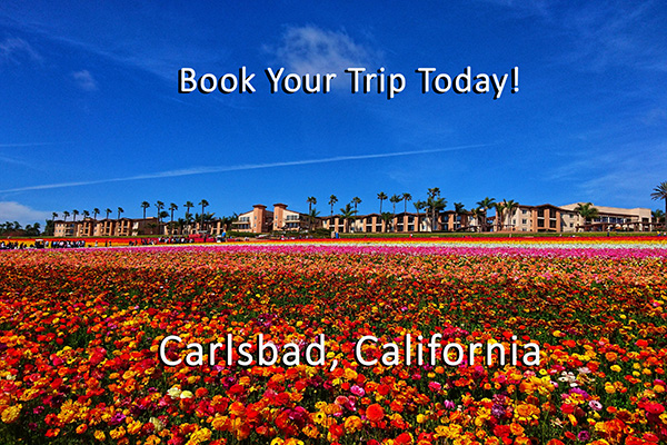 Ft. Lauderdale login